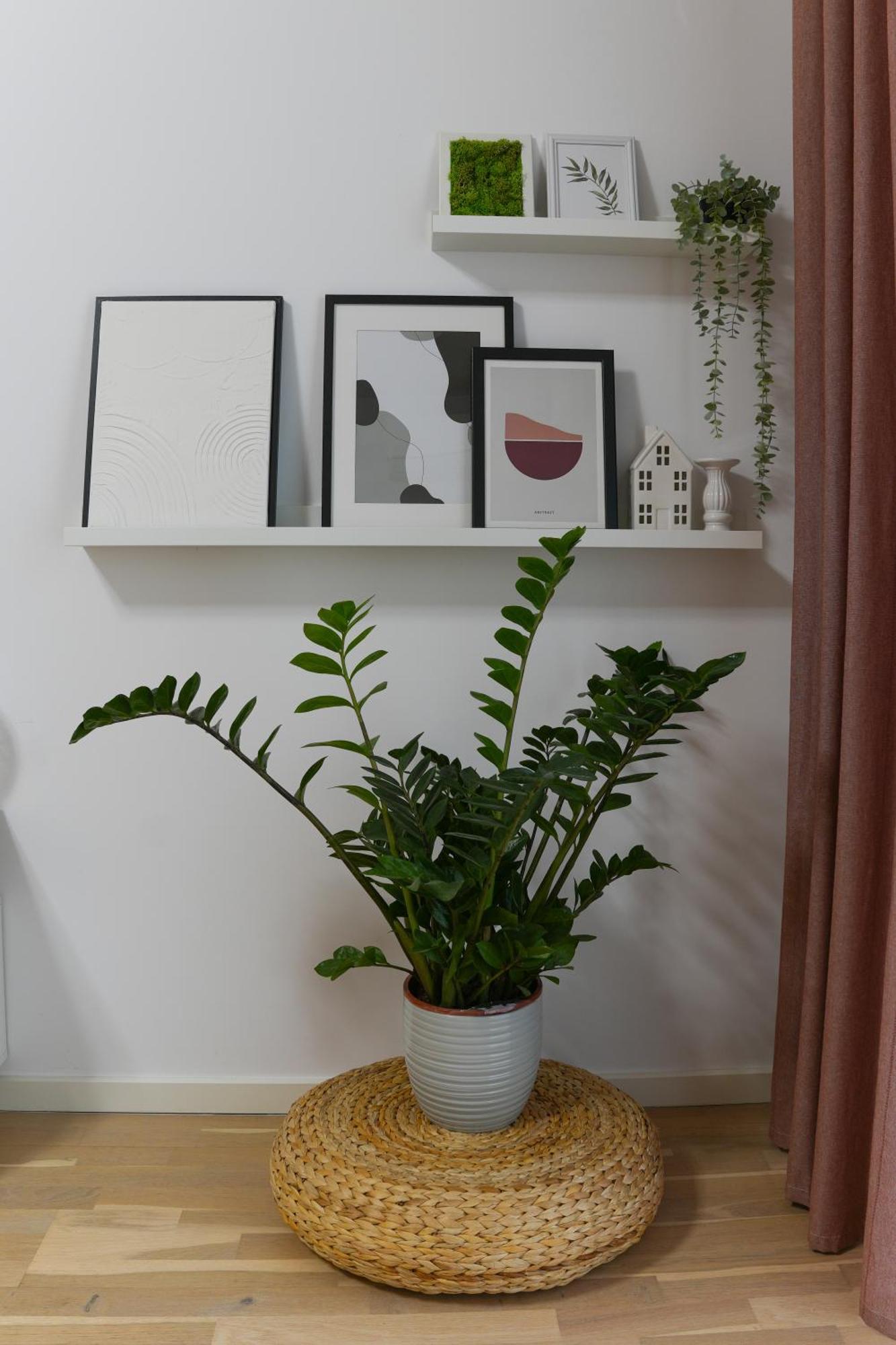 Amalia - Quiet 1br With Parking & Wi-fi דירה בוקרשט